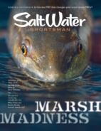 Salt-Water-Sportsman March 01, 2026 Issue Cover