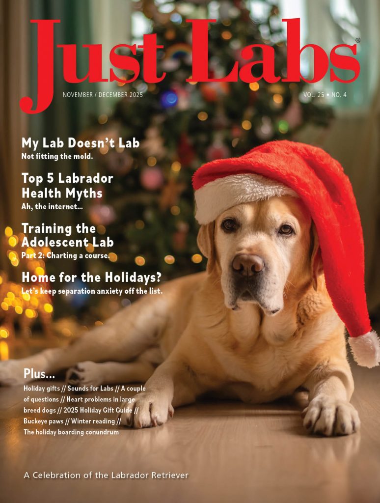 Just Labs November 01, 2025 Issue Cover