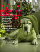 Just Labs November 01, 2025 Issue Cover