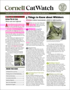 Catwatch July 01, 2023 Issue Cover