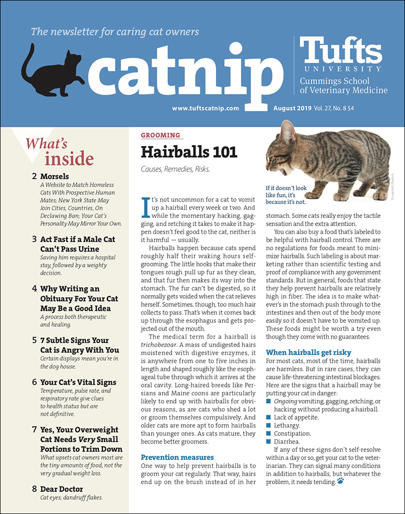 Catnip August 01, 2019 Issue Cover