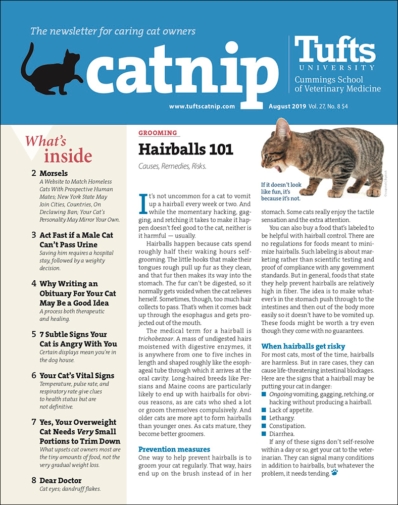 Catnip August 01, 2019 Issue Cover