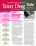 Your-Dog March 01, 2021 Issue Cover