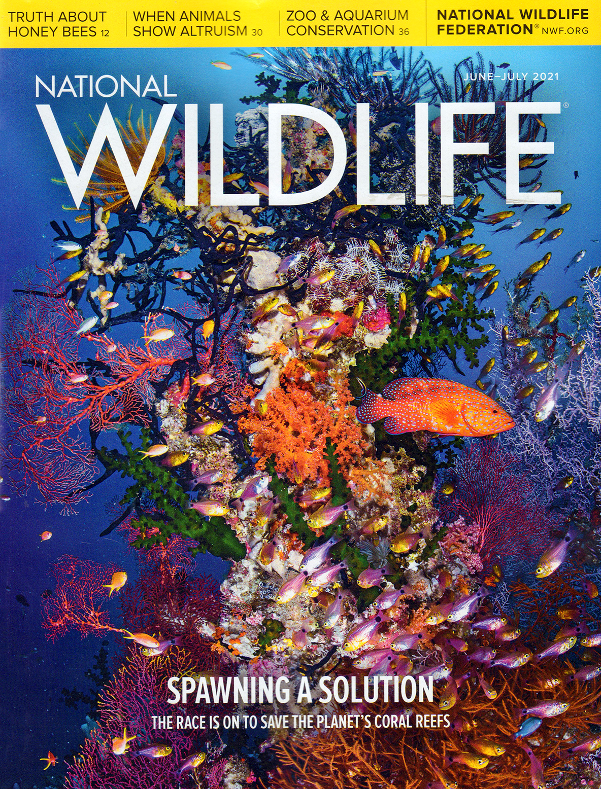 National-Wildlife June 01, 2021 Issue Cover