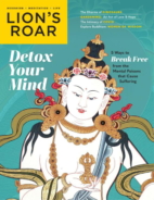 Lions-Roar May 01, 2021 Issue Cover