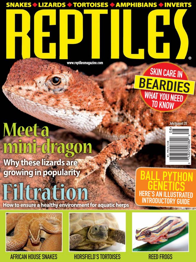 Reptiles July 01, 2021 Issue Cover