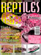 Reptiles July 01, 2021 Issue Cover