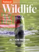 National-Wildlife September 01, 2025 Issue Cover