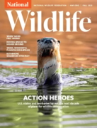 National Wildlife September 01, 2025 Issue Cover