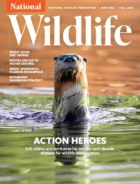 National-Wildlife September 01, 2025 Issue Cover