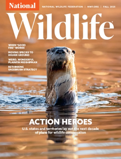 National Wildlife September 01, 2025 Issue Cover