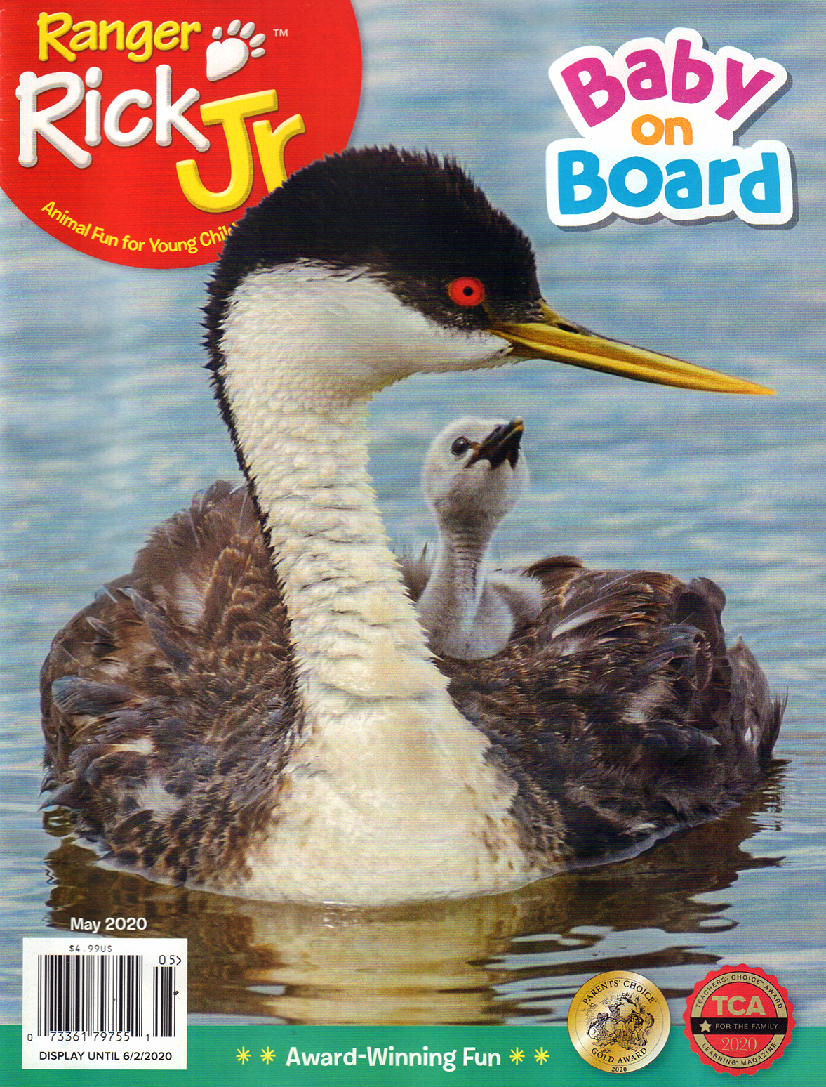 Ranger-Rick-Jr May 01, 2020 Issue Cover