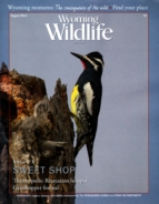 Wyoming-Wildlife August 01, 2014 Issue Cover