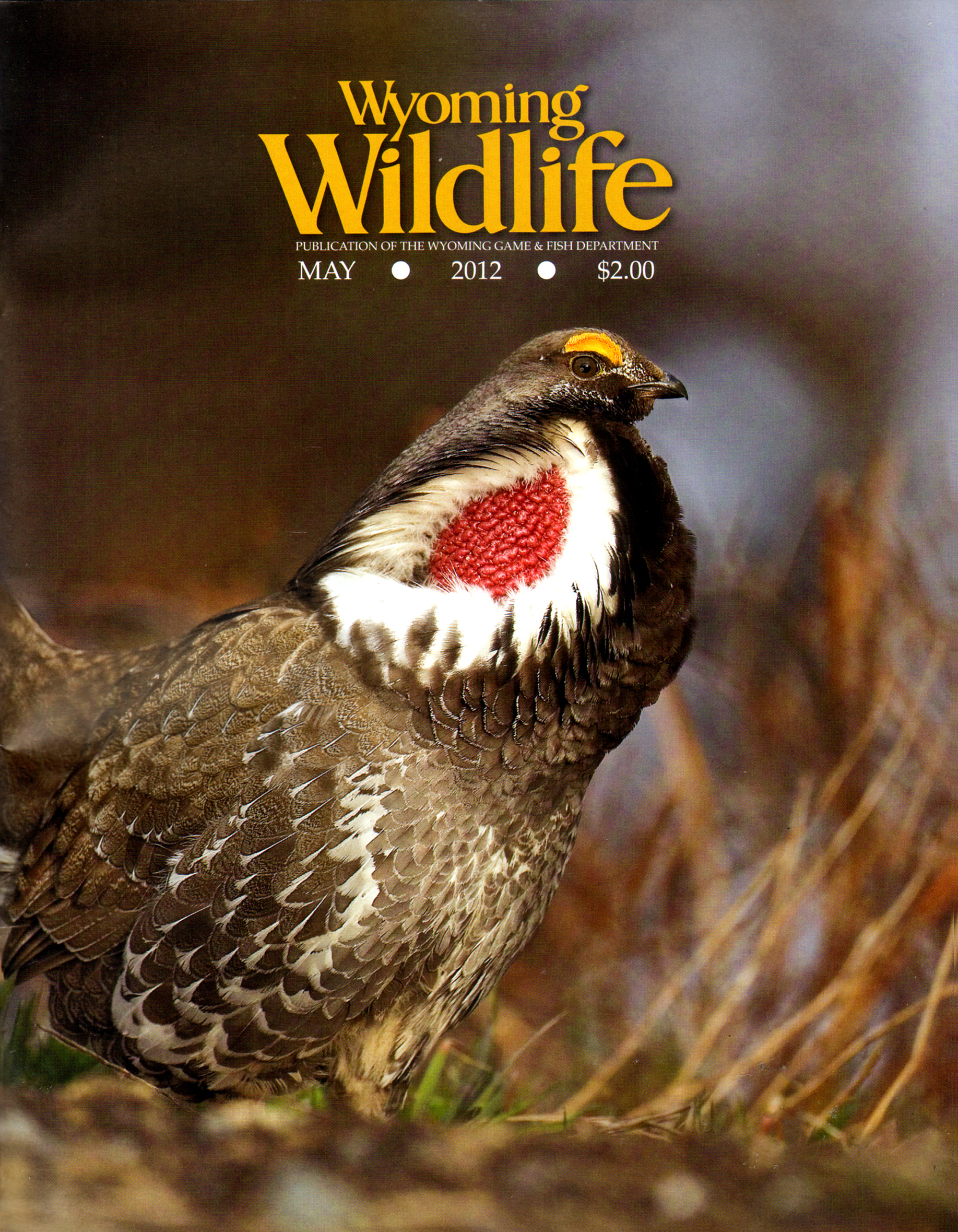 Wyoming-Wildlife May 01, 2012 Issue Cover