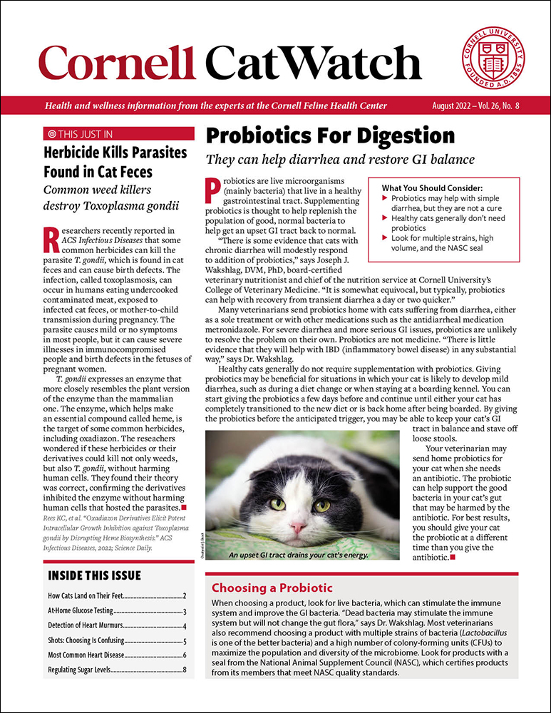 Catwatch August 01, 2022 Issue Cover