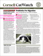 Catwatch August 01, 2022 Issue Cover