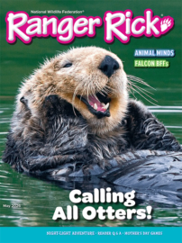 Ranger-Rick May 01, 2026 Issue Cover