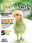 Chickens March 01, 2026 Issue Cover