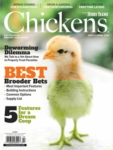 Chickens March 01, 2026 Issue Cover