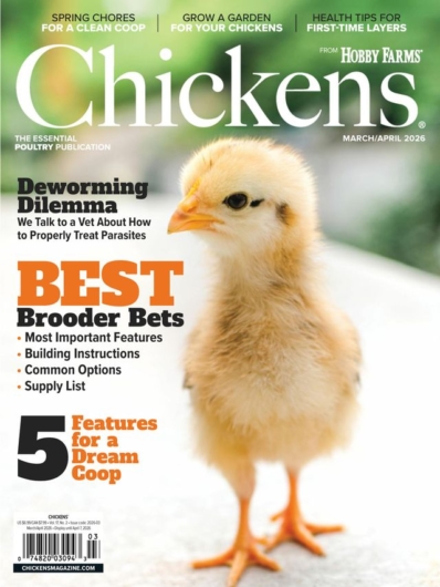 Chickens March 01, 2026 Issue Cover