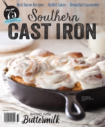 Southern-Cast-Iron March 01, 2017 Issue Cover