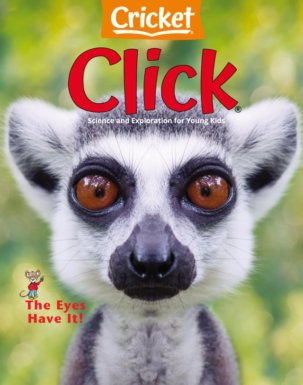 Click 1Magazine Subscription