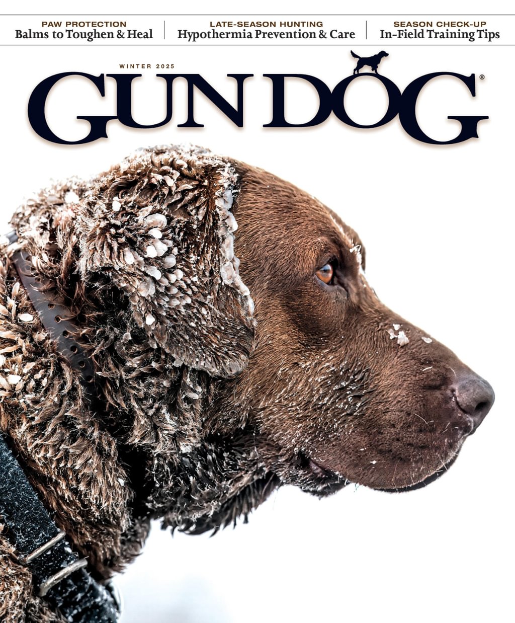 Gun-Dog December 01, 2024 Issue Cover