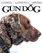 Gun-Dog December 01, 2024 Issue Cover