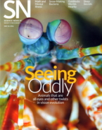 Science-News May 28, 2016 Issue Cover