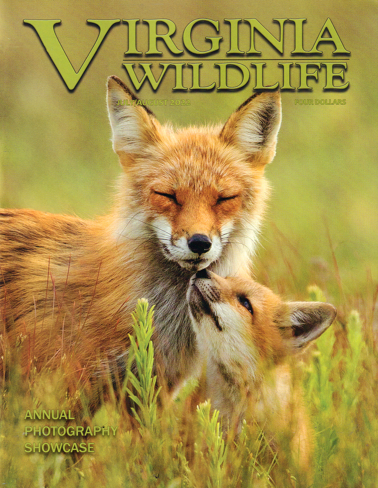 Virginia-Wildlife July 01, 2022 Issue Cover