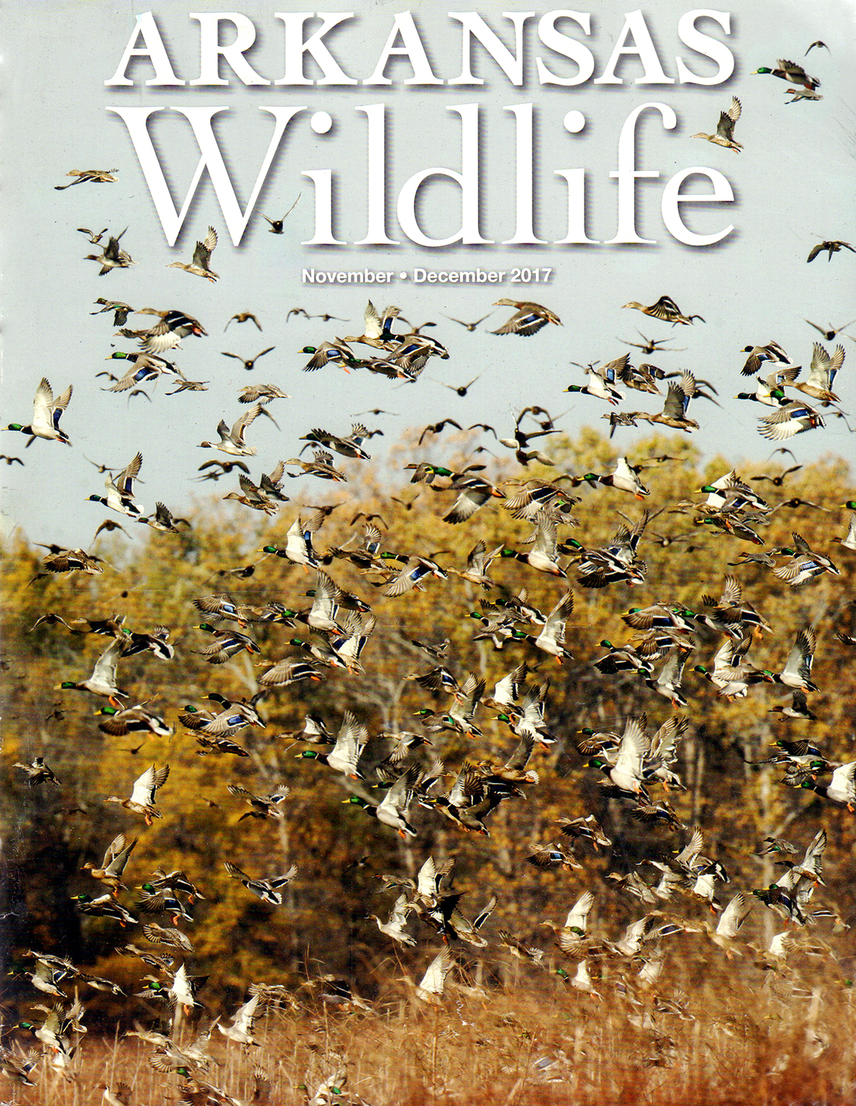 Arkansas-Wildlife November 01, 2017 Issue Cover
