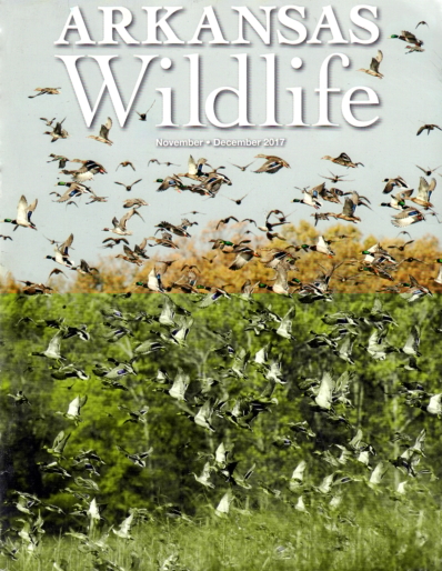 Arkansas Wildlife November 01, 2017 Issue Cover