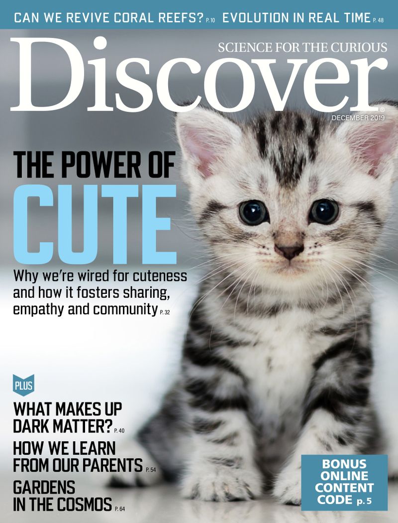 Discover December 01, 2019 Issue Cover