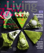 Martha-Stewart-Living November 01, 2014 Issue Cover