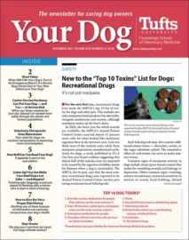 Your-Dog December 01, 2023 Issue Cover