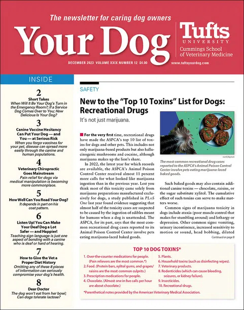 Your-Dog December 01, 2023 Issue Cover