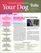 Your-Dog December 01, 2023 Issue Cover