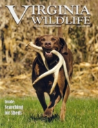 Virginia-Wildlife January 01, 2020 Issue Cover