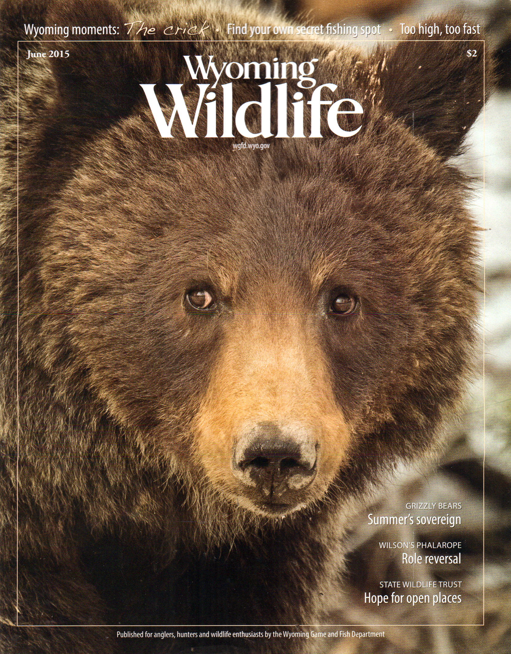 Wyoming-Wildlife June 01, 2015 Issue Cover