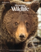 Wyoming-Wildlife June 01, 2015 Issue Cover