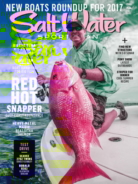 Salt-Water-Sportsman May 01, 2017 Issue Cover