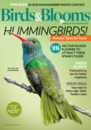 Birds-and-Blooms June 01, 2020 Issue Cover