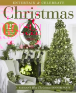 Entertain-and-Celebrate December 25, 2022 Issue Cover