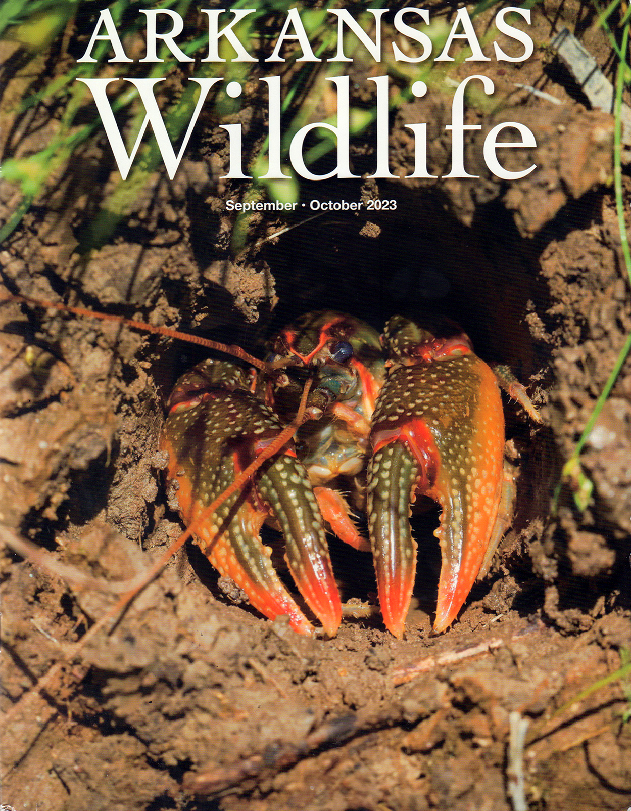 Arkansas-Wildlife September 01, 2023 Issue Cover