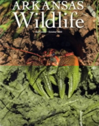 Arkansas-Wildlife September 01, 2023 Issue Cover