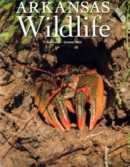 Arkansas Wildlife September 01, 2023 Issue Cover
