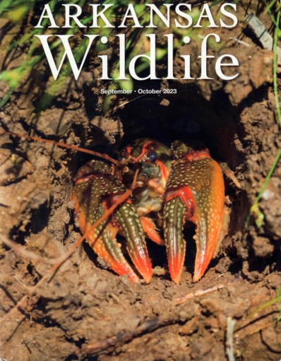 Arkansas Wildlife September 01, 2023 Issue Cover