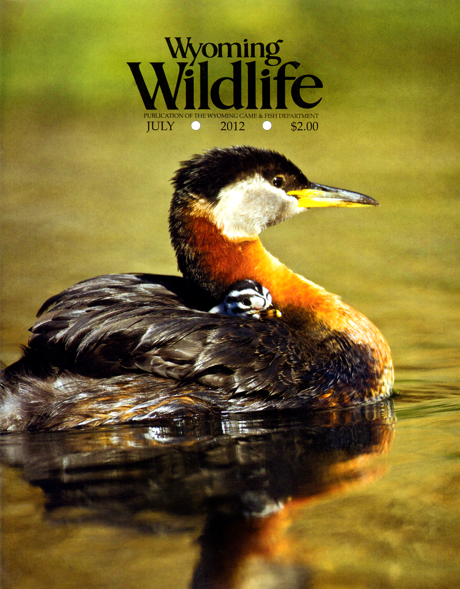 Wyoming-Wildlife July 01, 2012 Issue Cover