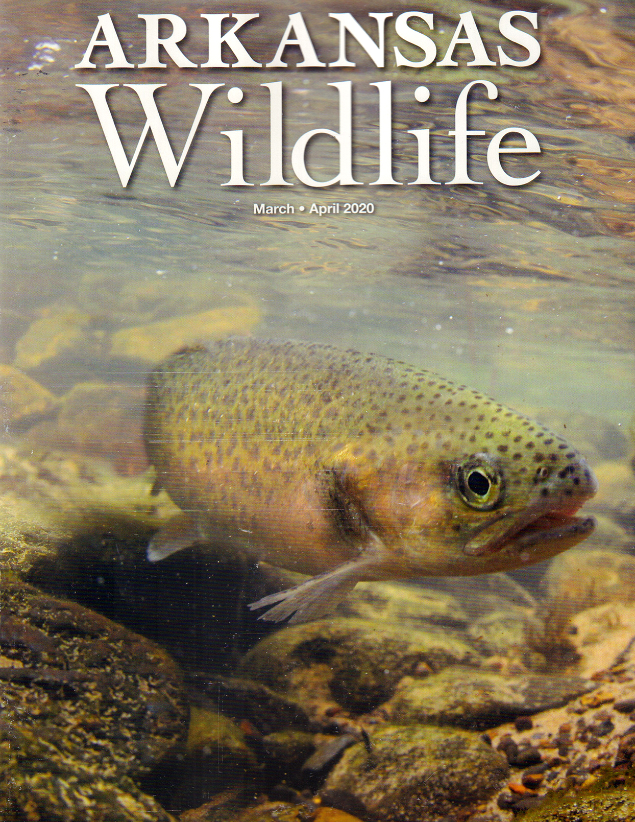 Arkansas-Wildlife March 01, 2020 Issue Cover
