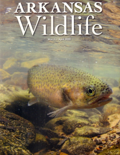 Arkansas Wildlife March 01, 2020 Issue Cover